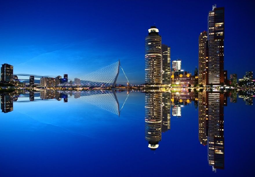 Skyscrapers of Rotterdam.